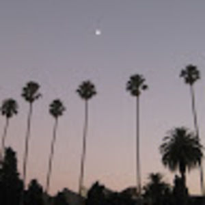 Meet your Posher, Liz